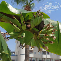 фото из отзыва ID 2192953