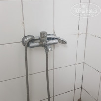 фото из отзыва ID 2196794