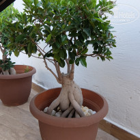 фото из отзыва ID 2199712