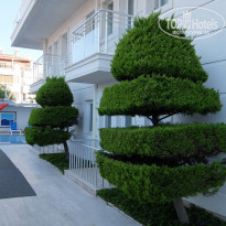 фото из отзыва ID 2199712