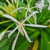 фото из отзыва ID 2195196
