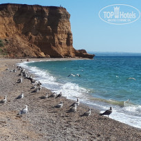 фото из отзыва ID 2200585