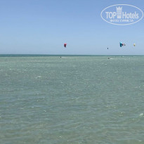 фото из отзыва ID 2207238