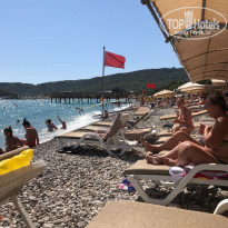 фото из отзыва ID 2212760