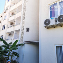 фото из отзыва ID 2216628