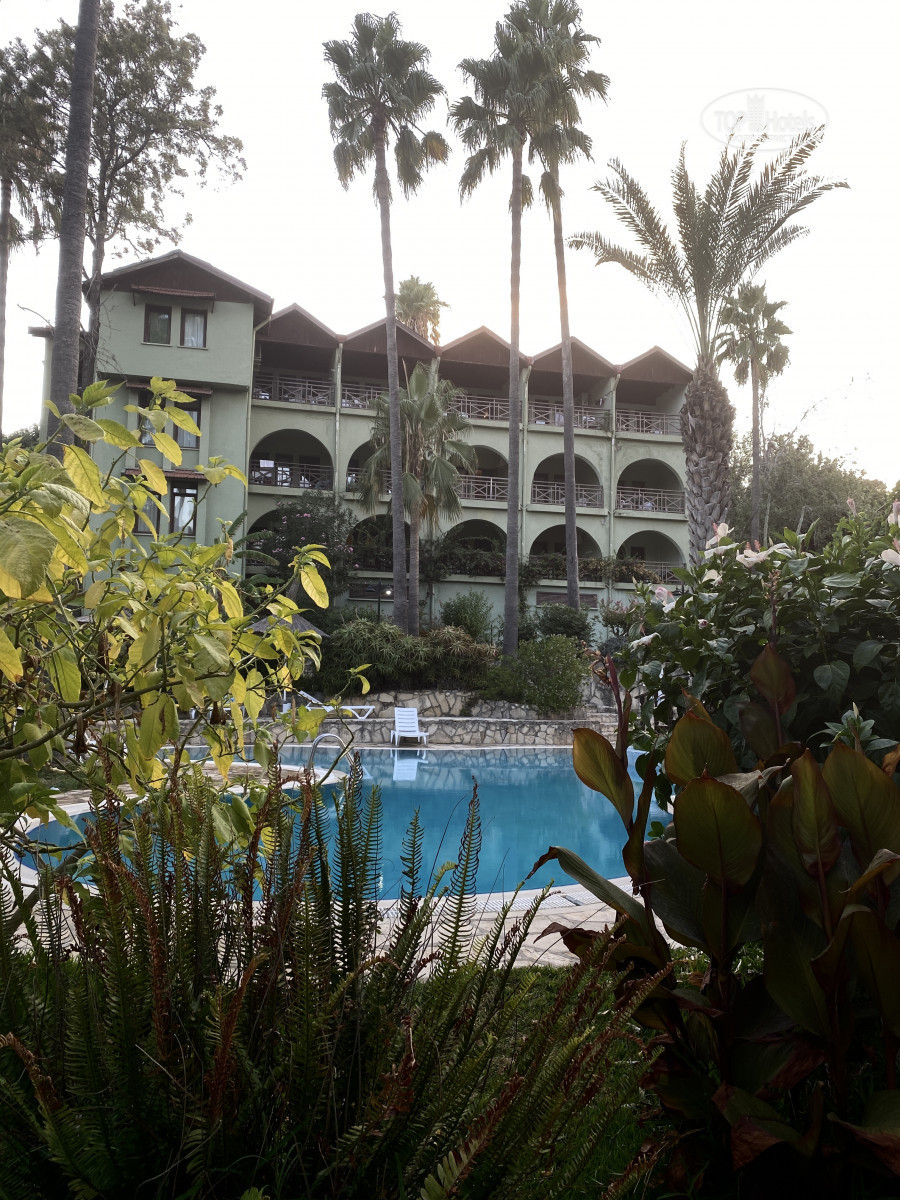 Green paradise beach hotel турция. Club hotel tropical) 4* конаклы, алания, 50 м до моря. Турция конаклы грин парадиз бич. Green paradise beach hotel турция. Грин парадиз бич отель.