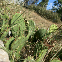 фото из отзыва ID 2217744