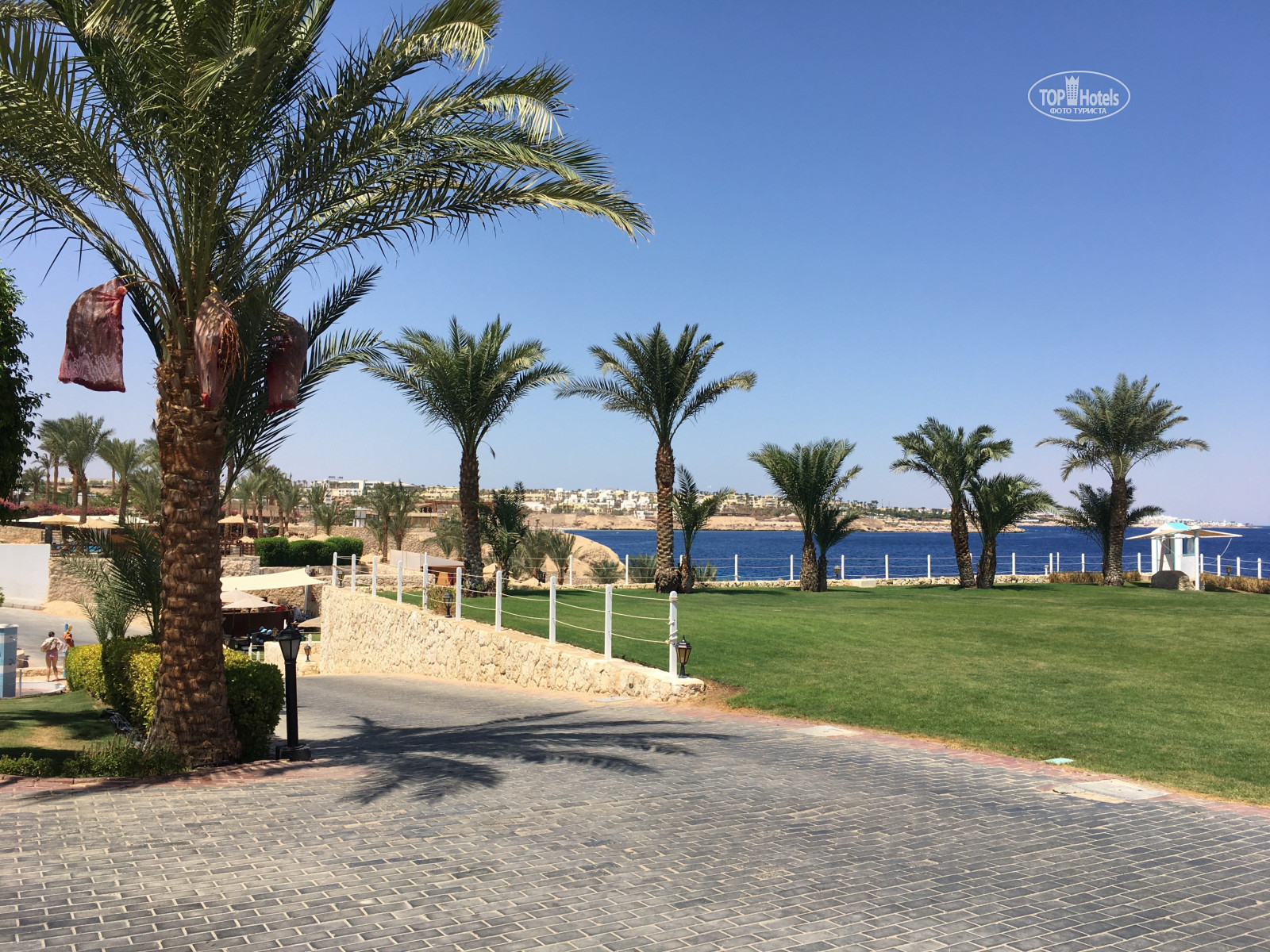 египет султан гарденс резорт 5. Sultan gardens resort. Sultan gardens resort шарм-эль-шейх. египет шарм-эль-шейх султан гарден. египет отель султан гарден.