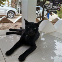 фото из отзыва ID 2221733