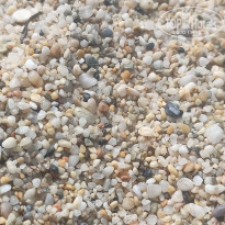 фото из отзыва ID 2222818