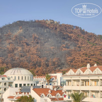 фото из отзыва ID 2224465