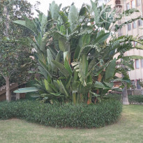 фото из отзыва ID 2225433