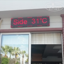 фото из отзыва ID 2226063