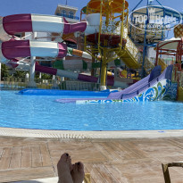 фото из отзыва ID 2229308