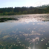 фото из отзыва ID 223029