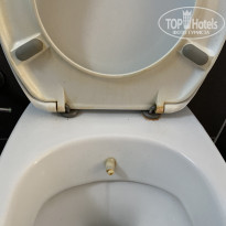 фото из отзыва ID 2234344