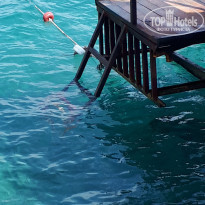 фото из отзыва ID 2235036