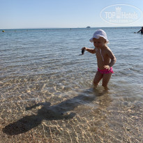 фото из отзыва ID 2236563