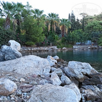 фото из отзыва ID 2238221