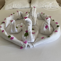 фото из отзыва ID 2242788