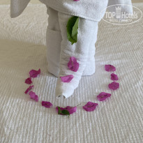 фото из отзыва ID 2242788