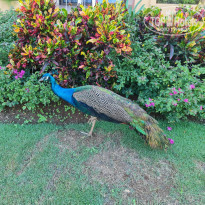 фото из отзыва ID 2245907