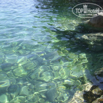 фото из отзыва ID 225993