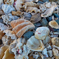 фото из отзыва ID 2251785