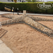 фото из отзыва ID 2260576