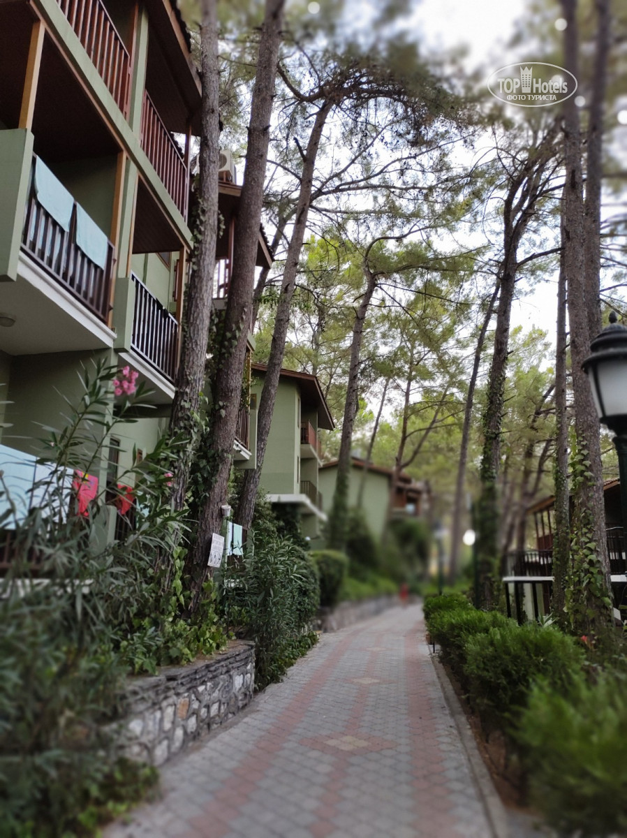 Мармарис парк отель туры. Мармарис парк 4. Marmaris park hv-1. Мармарис парк отель туры. Мармарис парк отель 5.