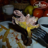 фото из отзыва ID 2269707