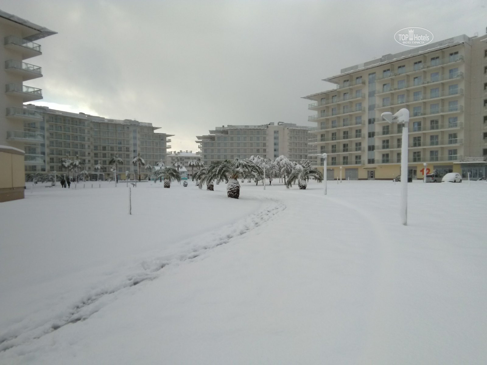 Отель сочи парк отель фото туристов