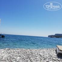 фото из отзыва ID 2274657