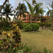 фото из отзыва ID 2275326