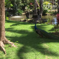 фото из отзыва ID 2275326