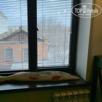 фото из отзыва ID 2277063