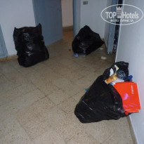 фото из отзыва ID 228520