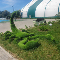 фото из отзыва ID 2281810