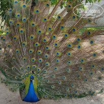 фото из отзыва ID 2284271