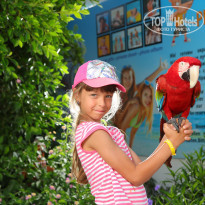 фото из отзыва ID 2285276