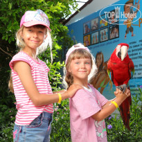 фото из отзыва ID 2285276