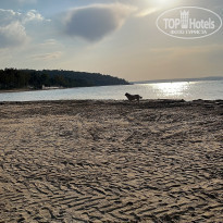 фото из отзыва ID 2286739