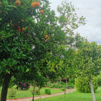 фото из отзыва ID 2288604