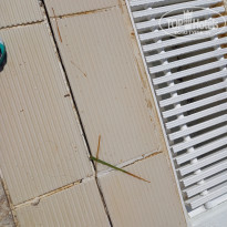 фото из отзыва ID 2289346