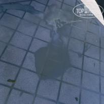 фото из отзыва ID 2289346