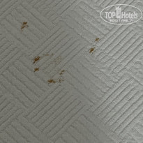 фото из отзыва ID 2294691