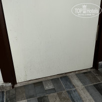 фото из отзыва ID 2294691