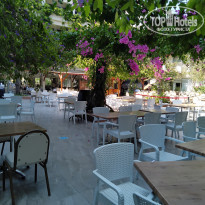 фото из отзыва ID 2298922