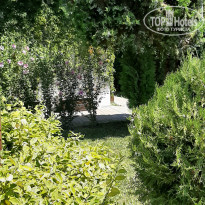 фото из отзыва ID 2299847