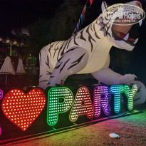 фото из отзыва ID 2303474